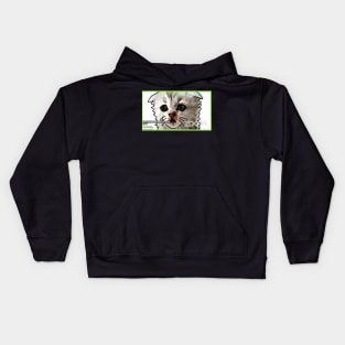 Zoom Cat says I am not a cat Kids Hoodie